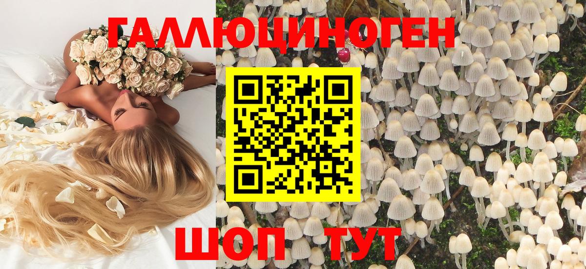Псилоцибиновые грибы мицелий Орёл
